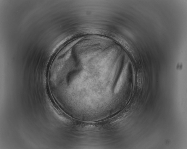 X0000090430390200708031135