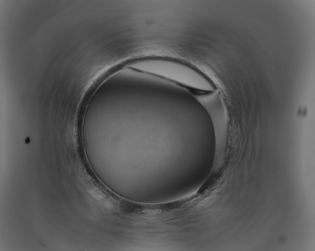 X0000090430391200708031135