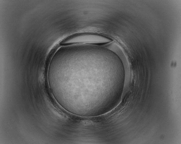 X0000090430392200708031134
