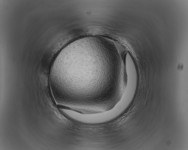 X0000090430393200708031134