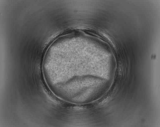 X0000090430394200708031134
