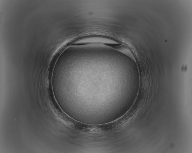 X0000090430395200708031134