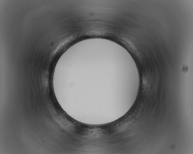 X0000090430396200708031134