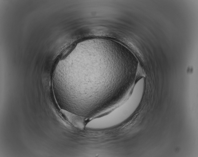 X0000090430397200708031134