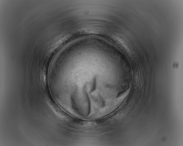 X0000090430398200708031134