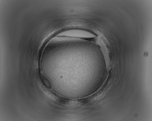 X0000090430399200708031134