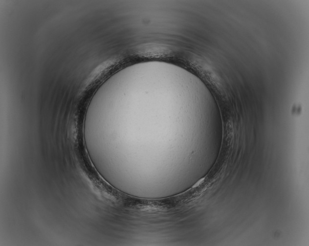 X0000090430400200708031134