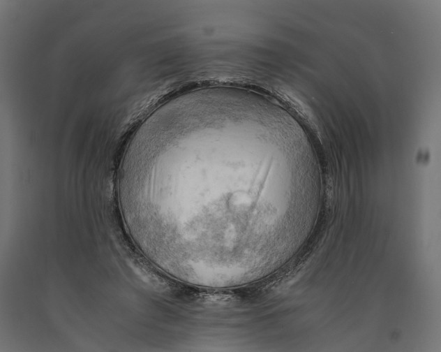 X0000090430401200708031134