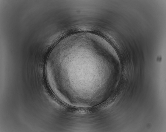 X0000090430402200708031134