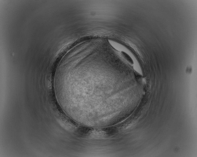 X0000090430403200708031134