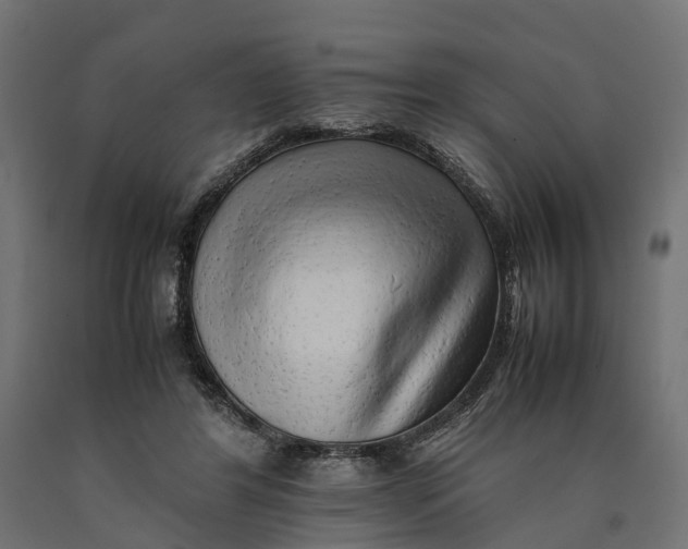 X0000090430404200708031134