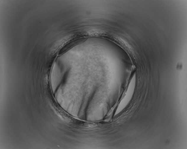 X0000090430405200708031134