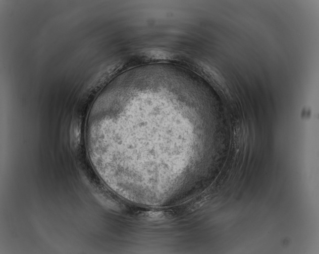 X0000090430406200708031134