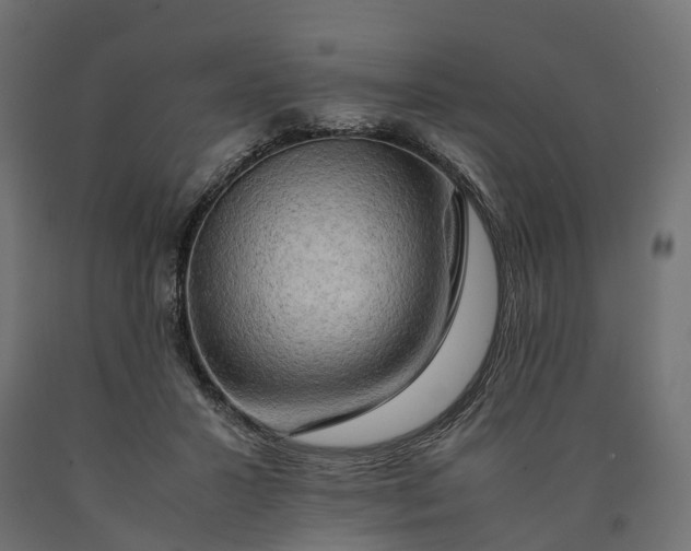 X0000090430407200708031134