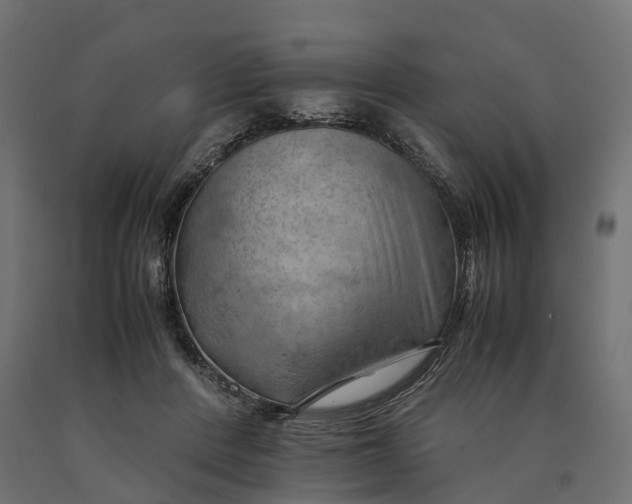X0000090430408200708031134