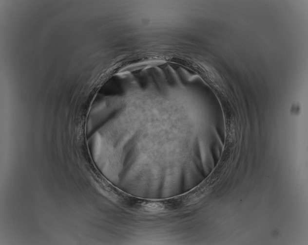 X0000090430409200708031134