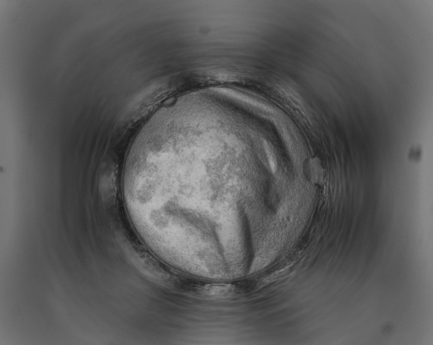 X0000090430410200708031134