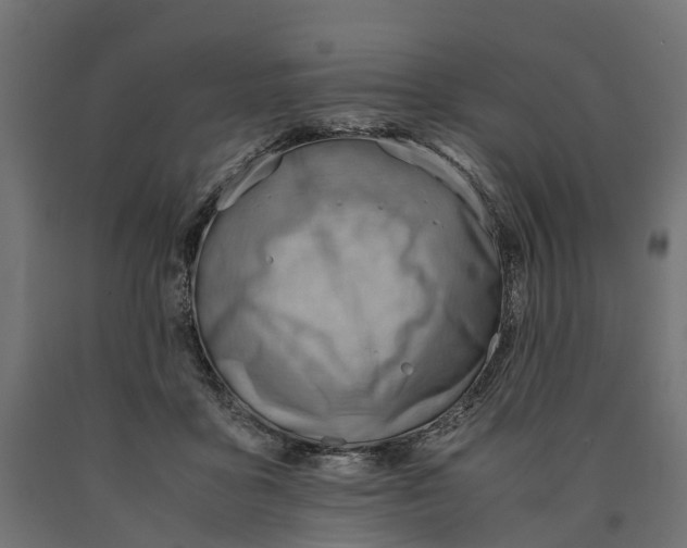 X0000090430411200708031134