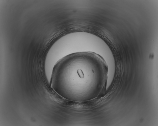 X0000090430412200708031134