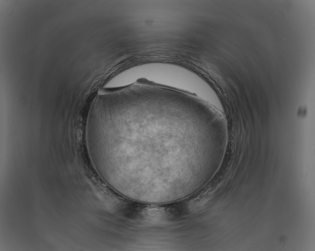 X0000090430413200708031134