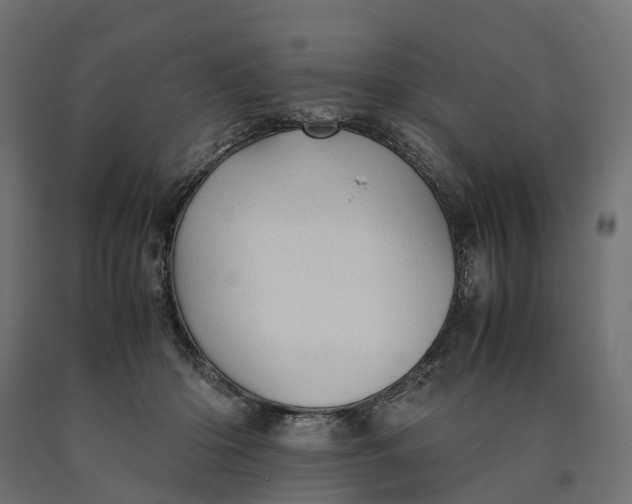 X0000090430414200708031134