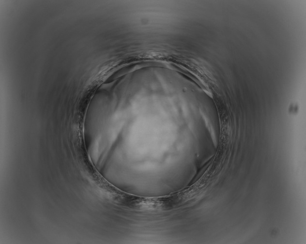 X0000090430415200708031134