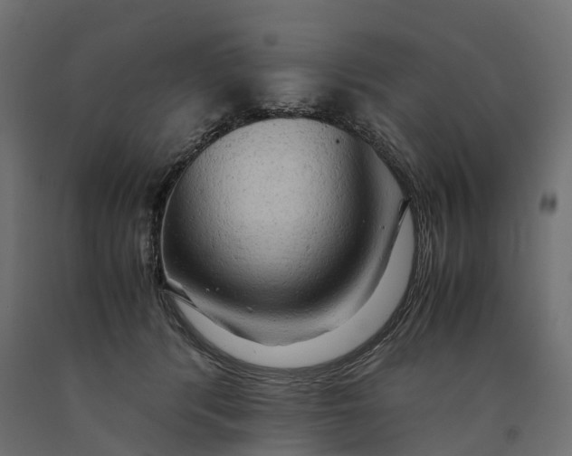 X0000090430416200708031134