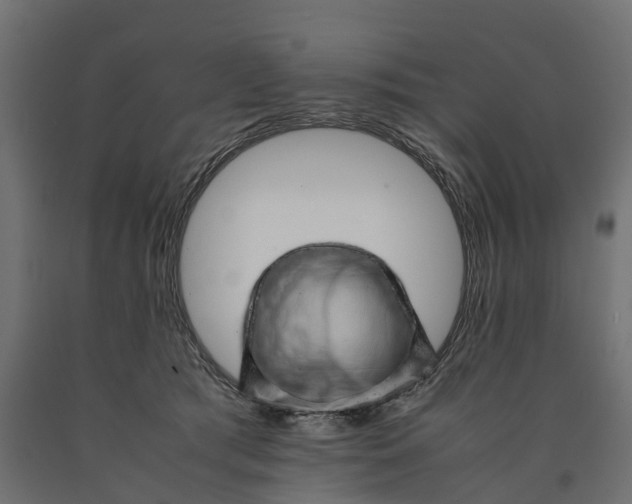 X0000090430417200708031134