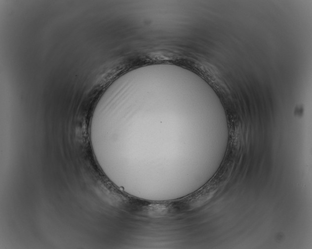 X0000090430418200708031134