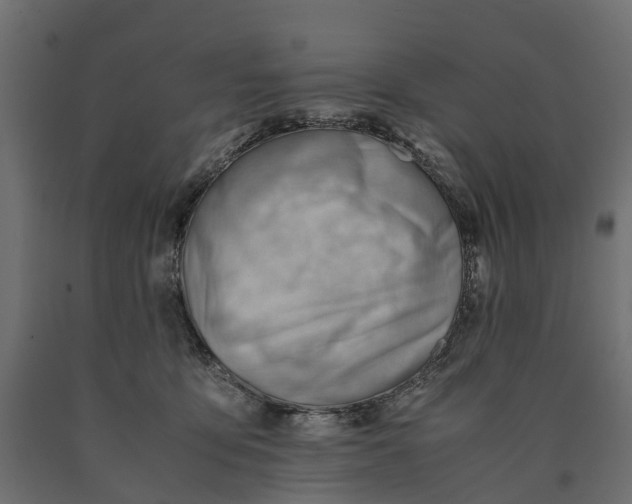 X0000090430419200708031134