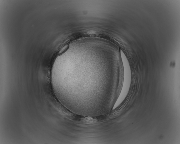X0000090430421200708031134