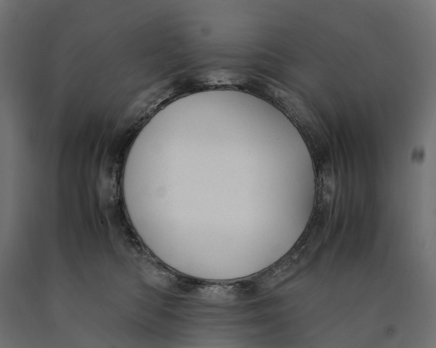 X0000090430422200708031134