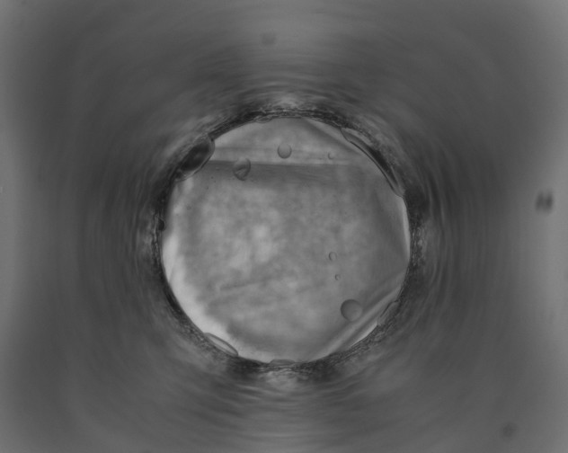 X0000090430423200708031134