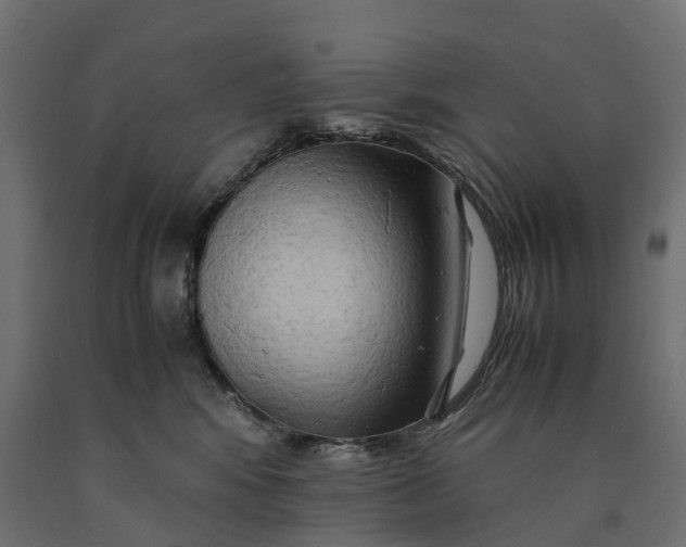 X0000090430424200708031134
