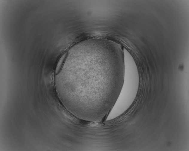 X0000090430425200708031134
