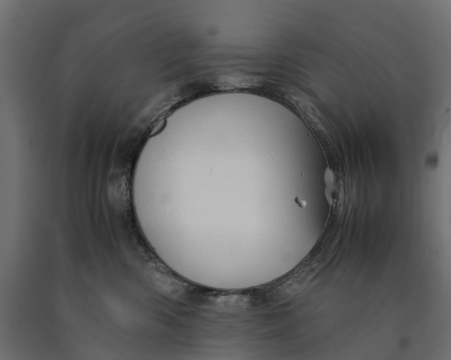 X0000090430426200708031134