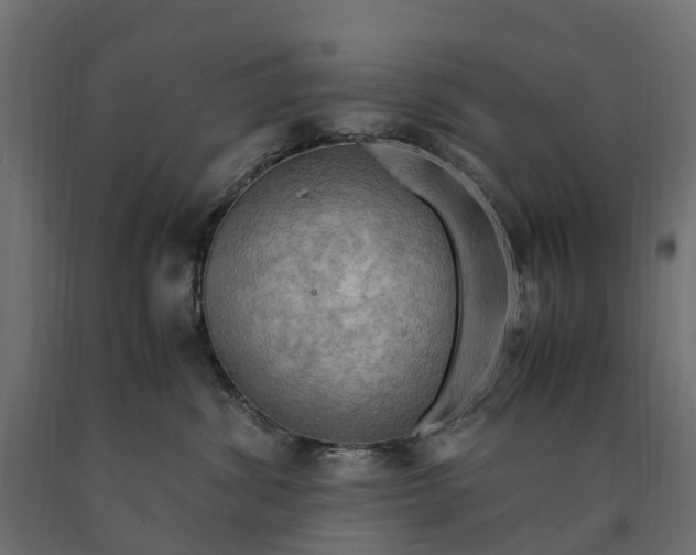 X0000090430428200708031134
