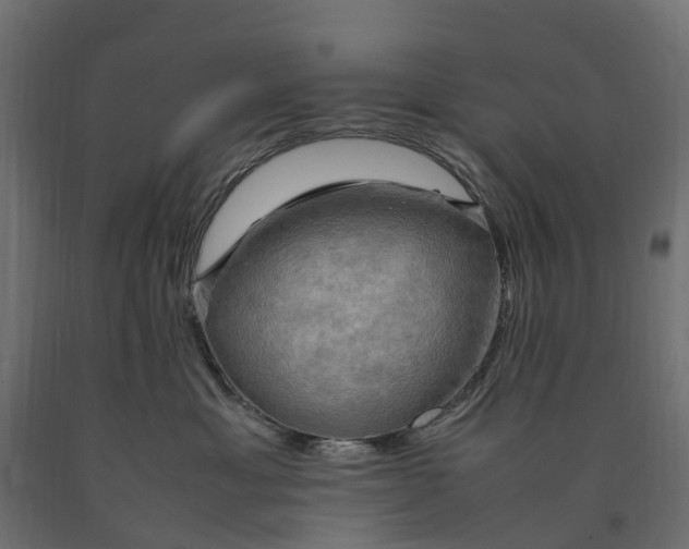X0000090430429200708031134