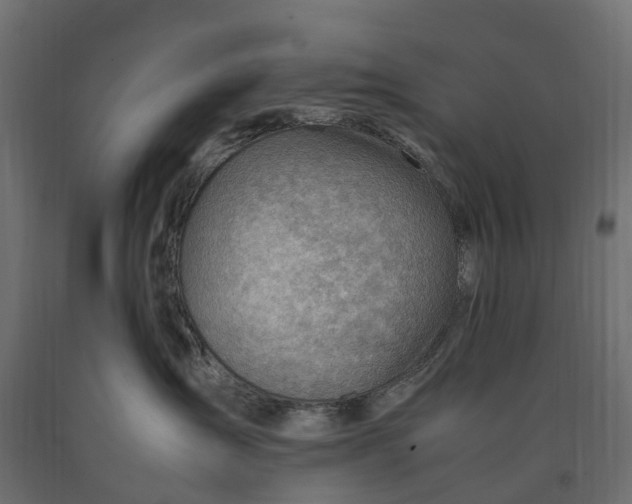 X0000090430431200708031134