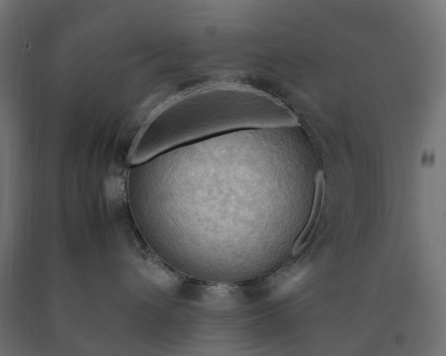 X0000090430432200708031134