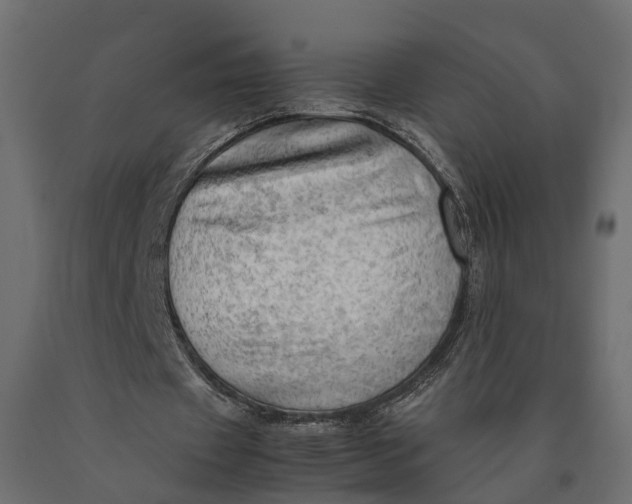 X0000090430433200708031133