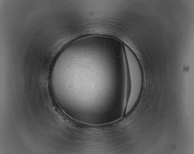 X0000090430434200708031133