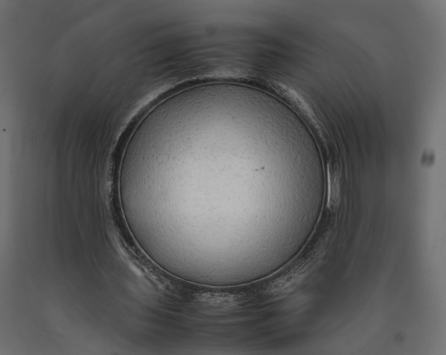 X0000090430435200708031133