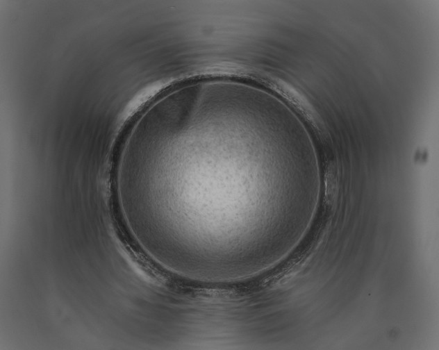 X0000090430436200708031133