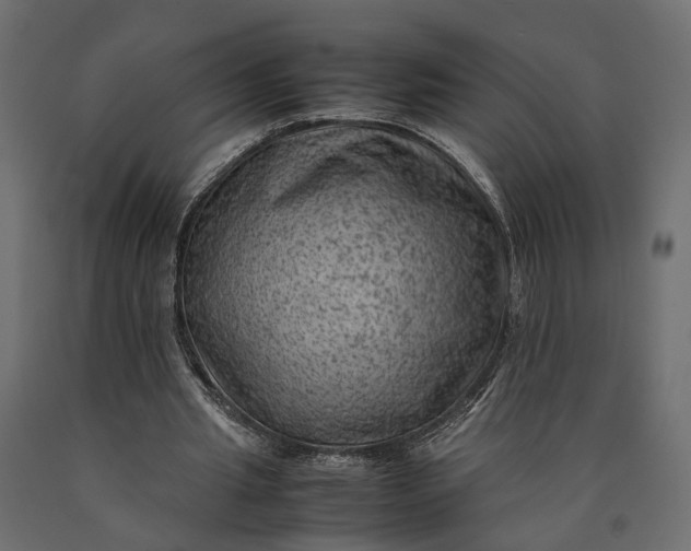 X0000090430437200708031133