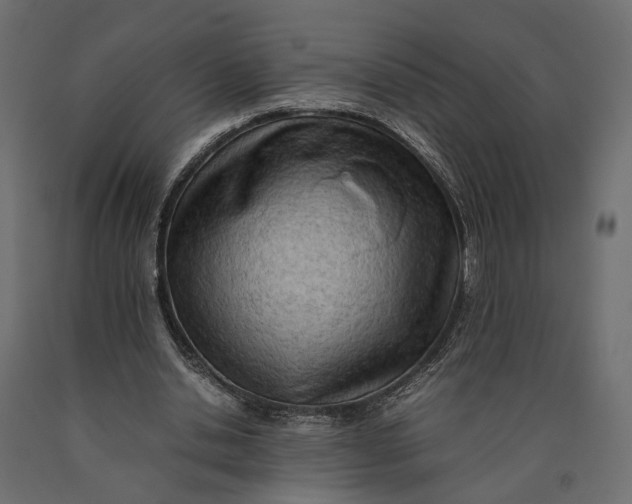X0000090430438200708031133