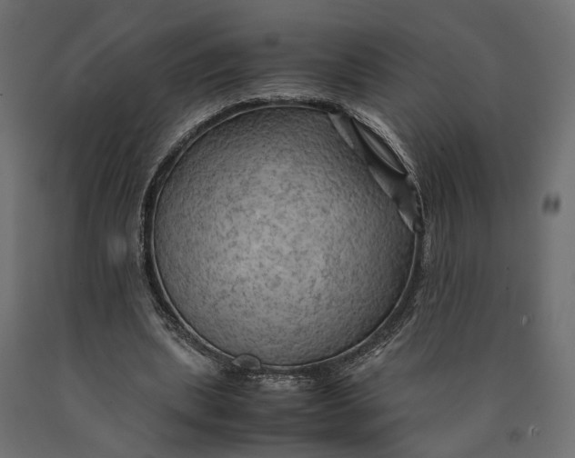 X0000090430439200708031133