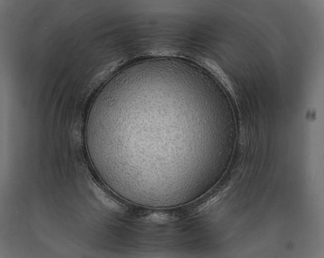 X0000090430441200708031133
