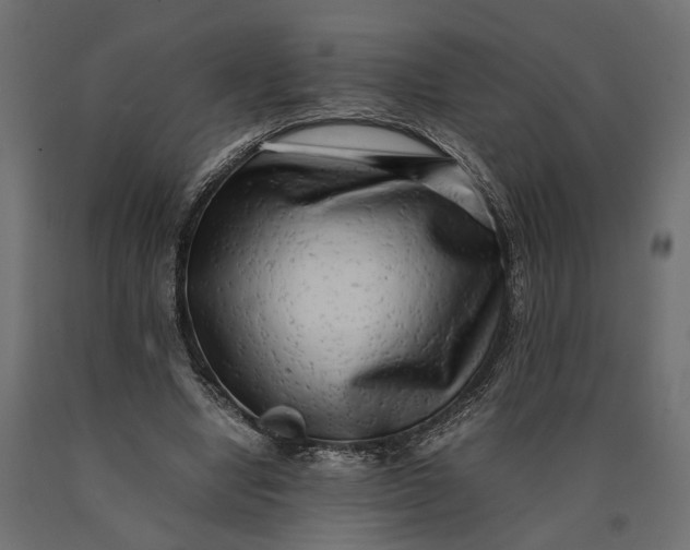 X0000090430442200708031133