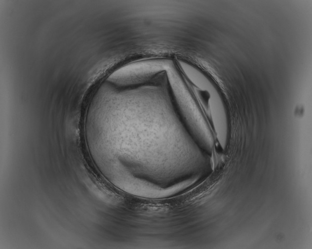 X0000090430443200708031133